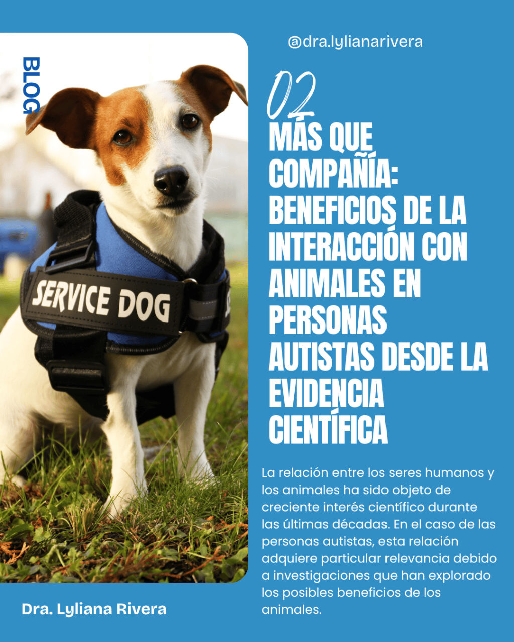 Más que compañía: beneficios de la interacción con animales en personas autistas desde la evidencia&nbsp;científica